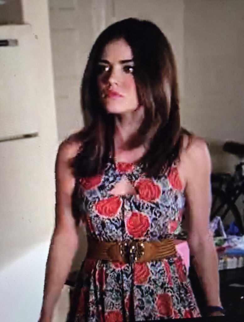 A zoomed out picture of Aria’s black dress with large red flowers and smaller blue flowers. In this picture the brown belt she has paired with the dress is also visible